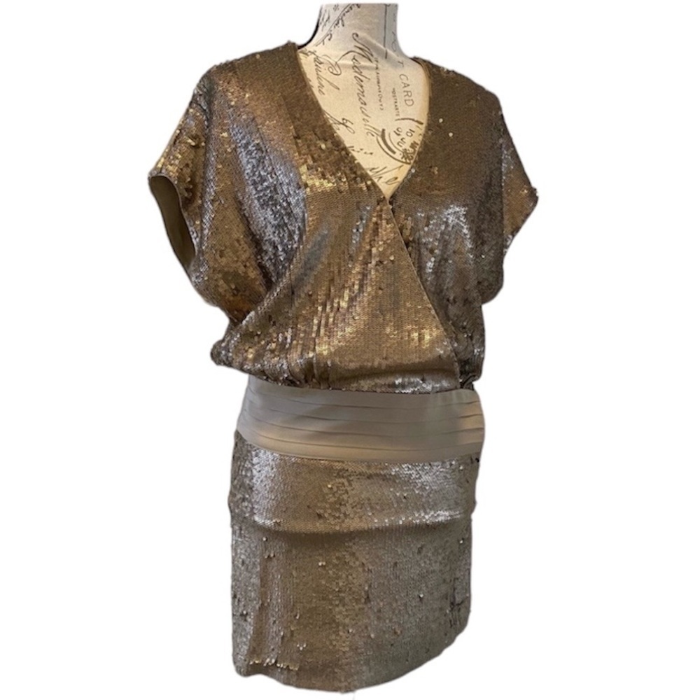 Haute Hippie Sequined Dress